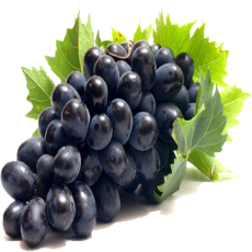Grapeseed Extract (Vitis Vinifera)