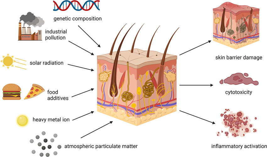 How Air Pollution in India Is Accelerating Skin Damage