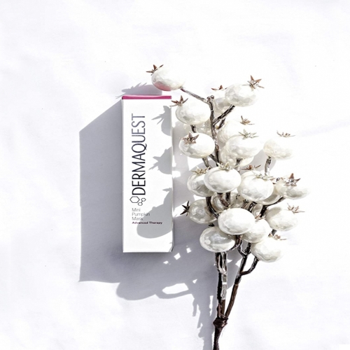 Mini Pumpkin Mask - PROFESSIONAL SIZE Mini Pumpkin Mask - PROFESSIONAL SIZE