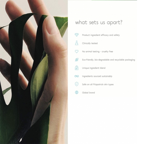 Mini Pumpkin Mask - PROFESSIONAL SIZE Mini Pumpkin Mask - PROFESSIONAL SIZE