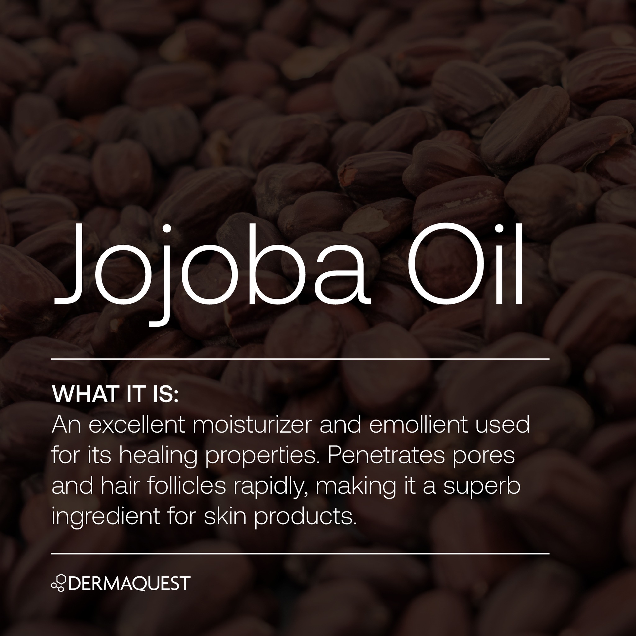 Universal Cleansing Oil