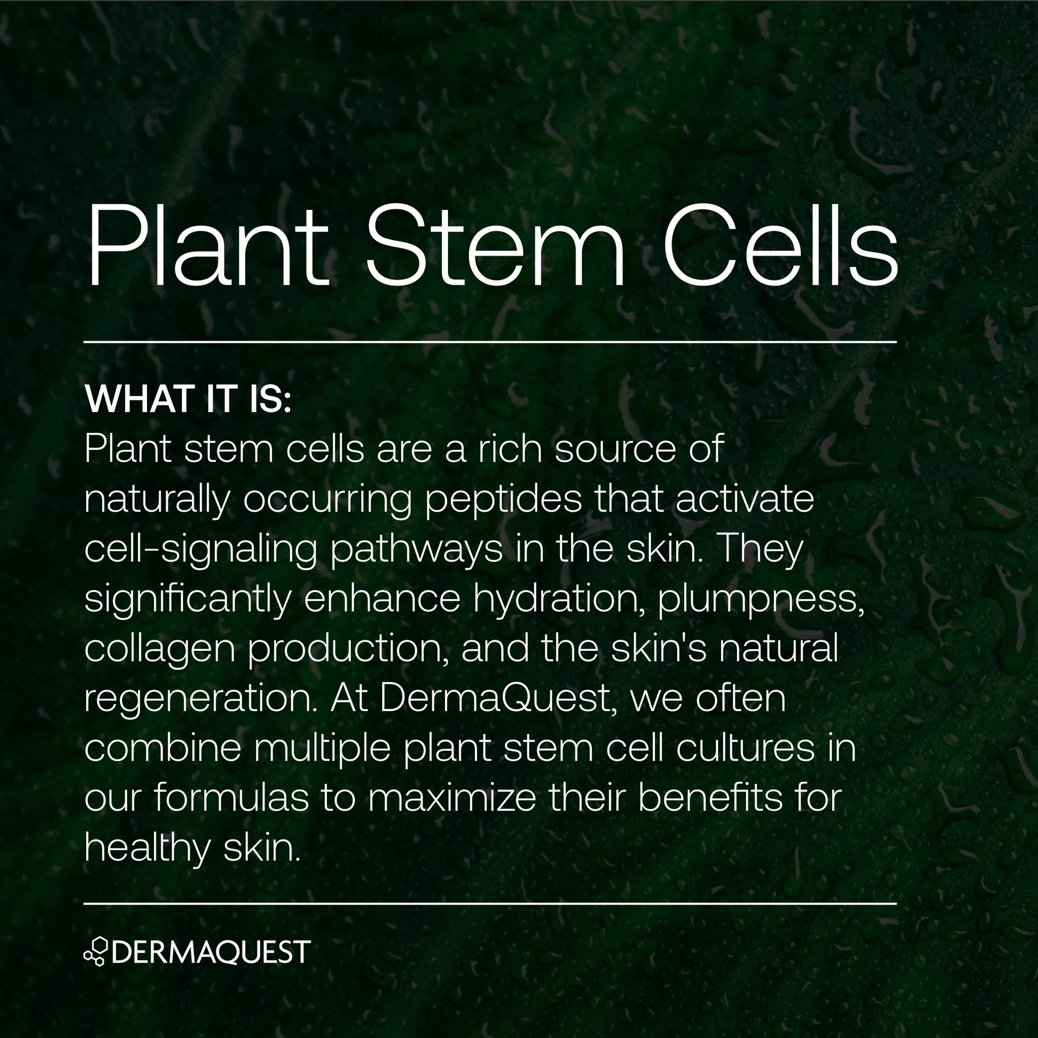 Glyco Resurfacing Cleanser