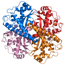 SuperOxide Dismutase