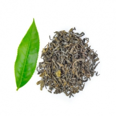 Green Tea Leaf Extract (Camellia Sinensis)