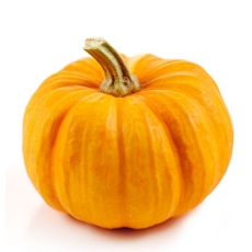Pumpkin Pulp (Cucurbita Pepo)