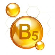 Vitamin B5 (Panthenol)