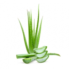 Aloe (Barbadensis Leaf)